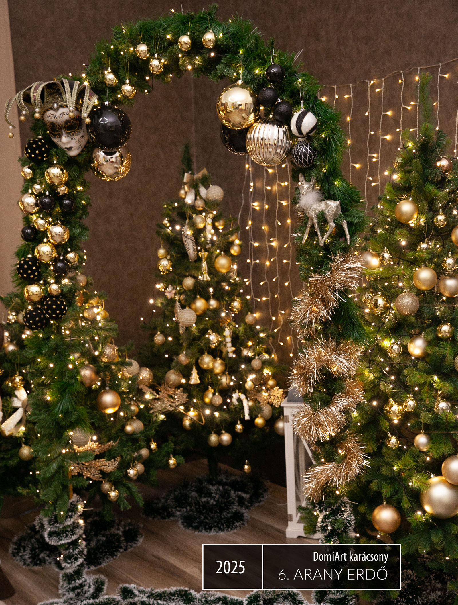 2024 karácsonyi fotózás háttér debrecen sparkle art