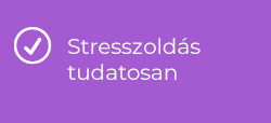 Ügynökségi castingok egyik velejárója a stressz. A kezdő modelleket megtanítjuk stresszoldásra, hogyan kezeljenek egy casting helyzetet.